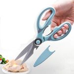 product_image_name-Générique-Ciseaux à viande en acier inoxydable avec jeu de lames-1