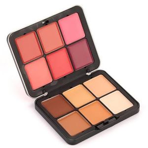 Ministar Palette 12 couleurs correcteurs et blushs en crème 