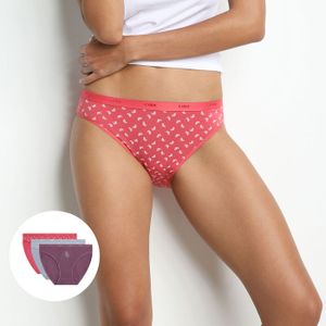 Lot de 3 Boxers femme en coton stretch à messages féminins Les Pockets -  Prix en Algérie