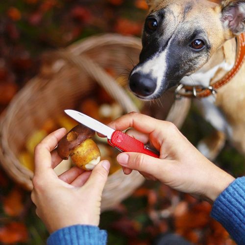 product_image_name-Tescoma-سكاكين جيب متعددة الوظائف MOVE 906230-6