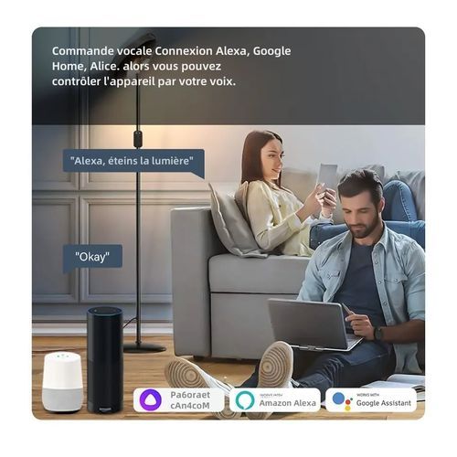 Interrupteur tactile connecté WIFI/RF fonctionne avec Tuya, smart Life,  Alexa - Alger Algeria