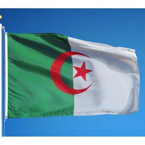Drapeau Algérie /1,99 euros / Neuf sous emballage 145 cm x 90 cm
