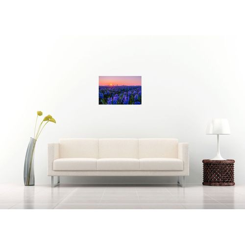 product_image_name-Générique-Tableau champ de fleurs de jacinthe - 60 cm x 40 cm - Forex-2