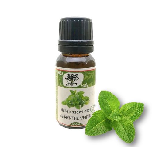 Menthe verte et menthe poivrée