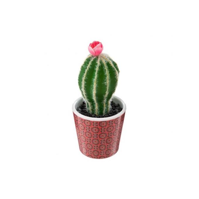 Plante Artificielle Cactus Dans Son Pot H 18 Cm Mexico - Prix en Algérie |  Jumia DZ