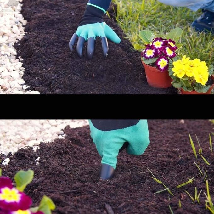 Gants de jardinage avec griffes - Letshop.dz