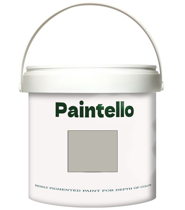  Paintello Paintello's Paint Onecoat grey01 4kg