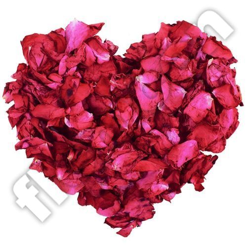  Furkan Lot De 100g Fleurs De Décoration Naturel Romantique - Rouge