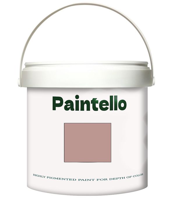  Paintello Paintello's Paint Onecoat pink09 4KG