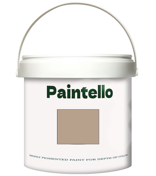  Paintello Paintello's Paint Onecoat beige02 4KG