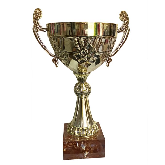  Trophée de Sport Coupe Doré  Ø140 cm H 34 cm