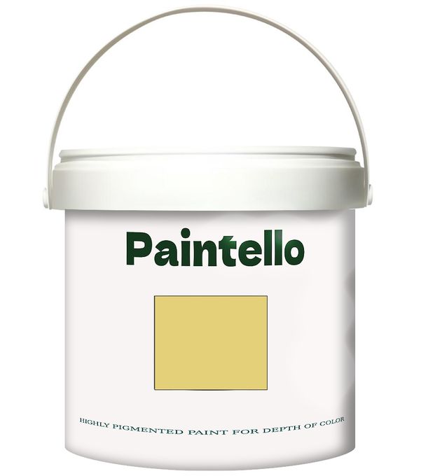  Paintello Paintello's Paint Onecoat Yellow 06 Matt 4KG