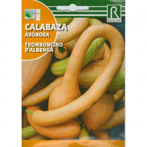  ROCALBA Graine de Courge Tromboncino - Beige