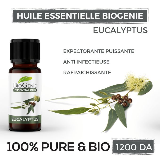  Biogenie Huile Essentielle Eucalyptus - 10 Ml - Marron