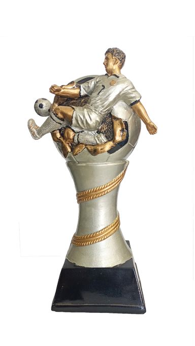  Trophée  Meilleur Buteur