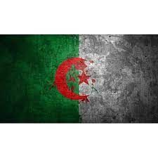 Tableau Décoratif - Algerian Flag - Vert/Rouge/Blanc